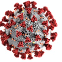 Omicron Effect: Chorus grows against resumption of normal foreign flight ops