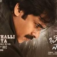 Bheemla Nayak movie update