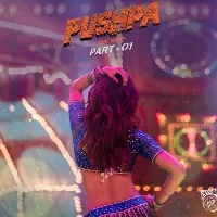 Pushpa movie update