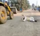 Youth Protested On Damaged Road