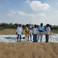 Sadhvi Niranjan says Centre procured more paddy from Telangana than AP