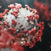 Omicron reaches India, two cases detected in Karnataka