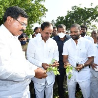 KCR visits farmers in fields, urges paddy farmers to change crops