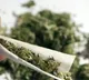 NCB seize over one lakh kilos Ganja in AP in 2020