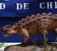 New species of Dinosaur identified in Chile
