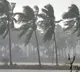 Jawad cyclone coming forward to Coastal Andhra