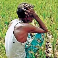 AP and TS in top two position in farmers debts