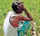 AP and TS in top two position in farmers debts