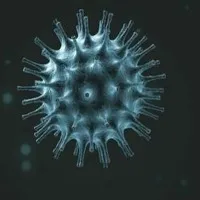 AP Corona Update