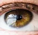 Sri Lanka donated us 35,000 eyes, but we lost sight: Pakistan ophthalmologist