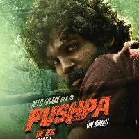 Allu Arjun echo friendly message to Pushpa unit