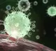 More Omicron variant cases emerges in Maharashtra