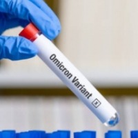 Omicron cases in UK rise by 50% in one day