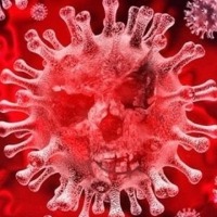 UK woman tests negative for Omicron in Hyderabad