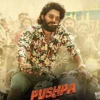 Allu Arjun Pushpa trailer release delayed