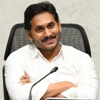 Andhra CM pitches for millet cultivation, organic farming