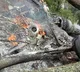 Bipin Rawat IAF helicopter burning video