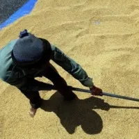 Congress MP Uttam Kumar Reddy questions Centre on paddy procurement