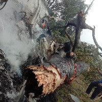 People shower flowers on ambulances carrying bodies of chopper crash victims