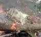 IAF Appeals Public To Stay Away From Speculations On CDS Helicopter Crash