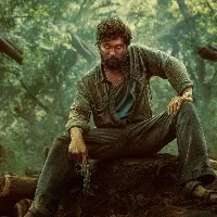No special guest for Pushpa pre release event