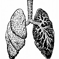 A malaria drug may protect lung cells against Covid