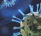 Second Omicron case found in Delhi