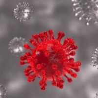 IIT-D develops kit that tests Omicron in 90 minutes