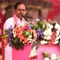 TRS makes clean sweep in Telangana Council polls