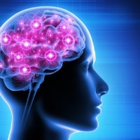 Brain surgeons, rocket scientists are not brighter than the rest