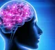 Brain surgeons, rocket scientists are not brighter than the rest
