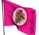 TRS wins all MLC seats