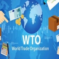 India rejects WTO Panel's findings on its sugar policies