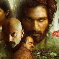 Unanimous negativity around 'Pushpa' sound-related technicalities