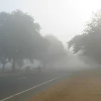 Hyderabad records 8 degrees min temperature
