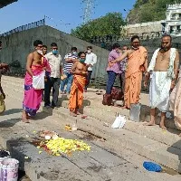 One snake dies at Indrakeeladri Durga Temple