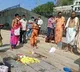 One snake dies at Indrakeeladri Durga Temple