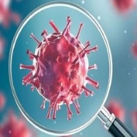 Covid-19 virus harms human immune system: Israeli research
