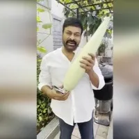 Chiranjeevi cultivates Bottle Gourd in his back yard