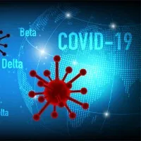 AP records lowest corona positive cases