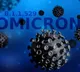 Twelve more Omicron cases in Telangana