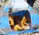 Unicef deploys mobile health teams for Afghan women, kids