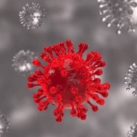 Omicron may do good by replacing Delta from world: Experts