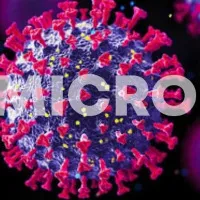 Omicron Risk Remains Very High Says WHO