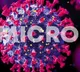 Omicron Risk Remains Very High Says WHO