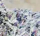 Torned Currency notes On Hyderabad Nagarpur Highway