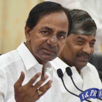Chief Ministers of Telugu states wish people for New Year
