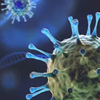 One more Omicron case found in Andhra Pradesh