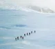 Research station in Antarctica hit by Covid outbreak