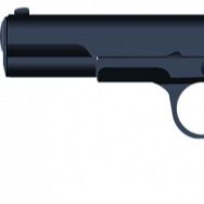 Man steals pistol from ex-judge's house to kill uncle